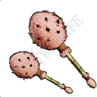 Pink Maracas I
